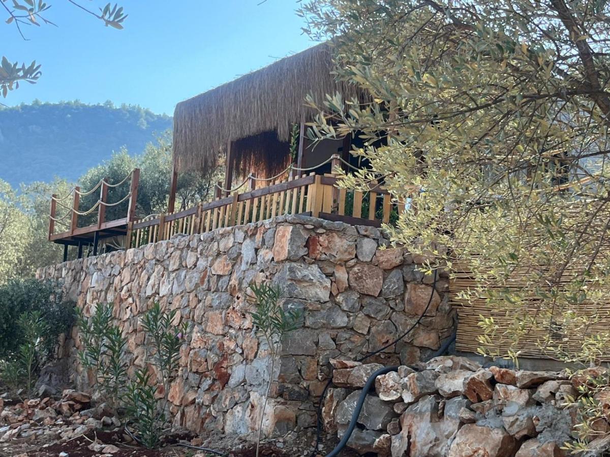 Lovin Goecek Tiny House Butterfly Villa Gokceovacik Exterior foto