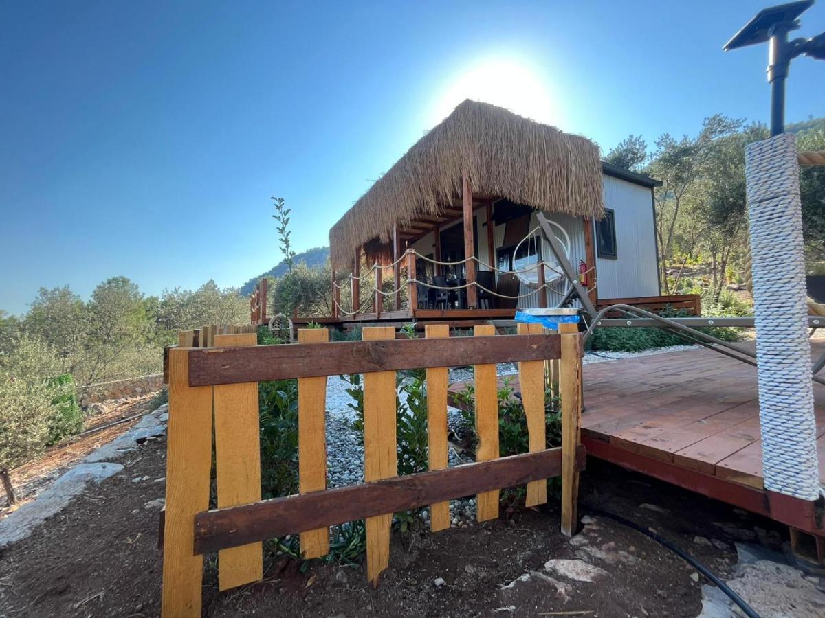 Lovin Goecek Tiny House Butterfly Villa Gokceovacik Exterior foto